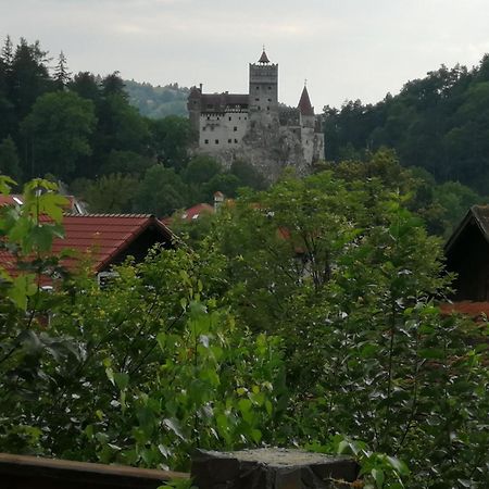 Pensiunea Transilvania Lodge Bran  Bagian luar foto