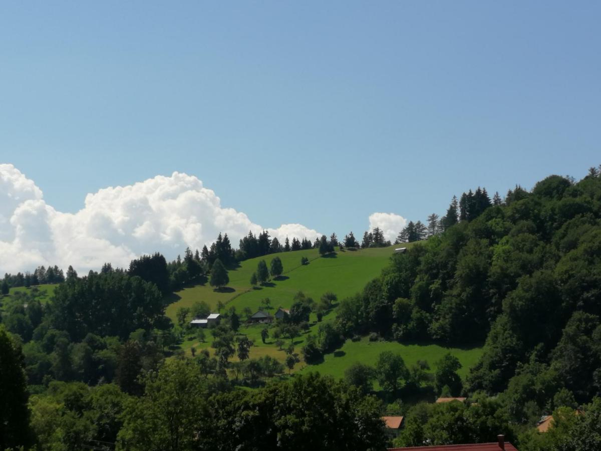 Pensiunea Transilvania Lodge Bran  Bagian luar foto