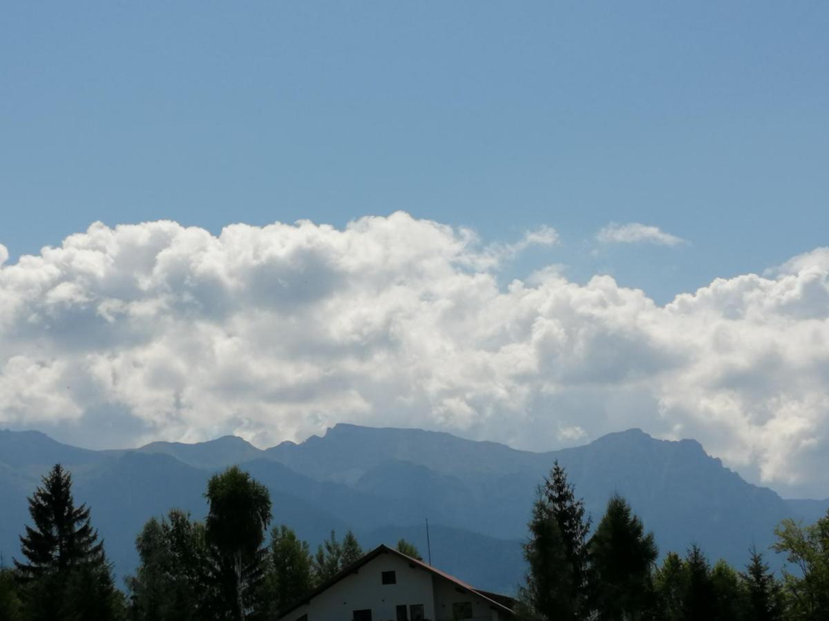 Pensiunea Transilvania Lodge Bran  Bagian luar foto