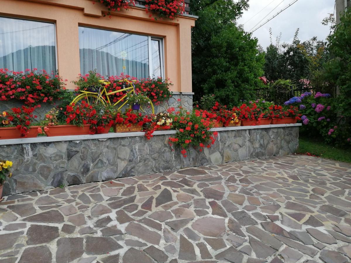 Pensiunea Transilvania Lodge Bran  Bagian luar foto