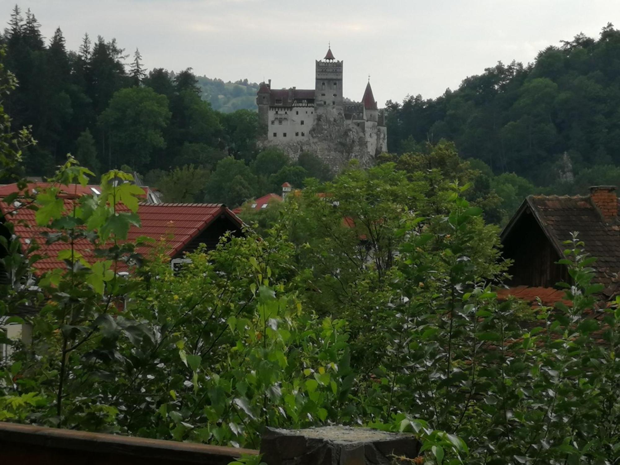 Pensiunea Transilvania Lodge Bran  Bagian luar foto