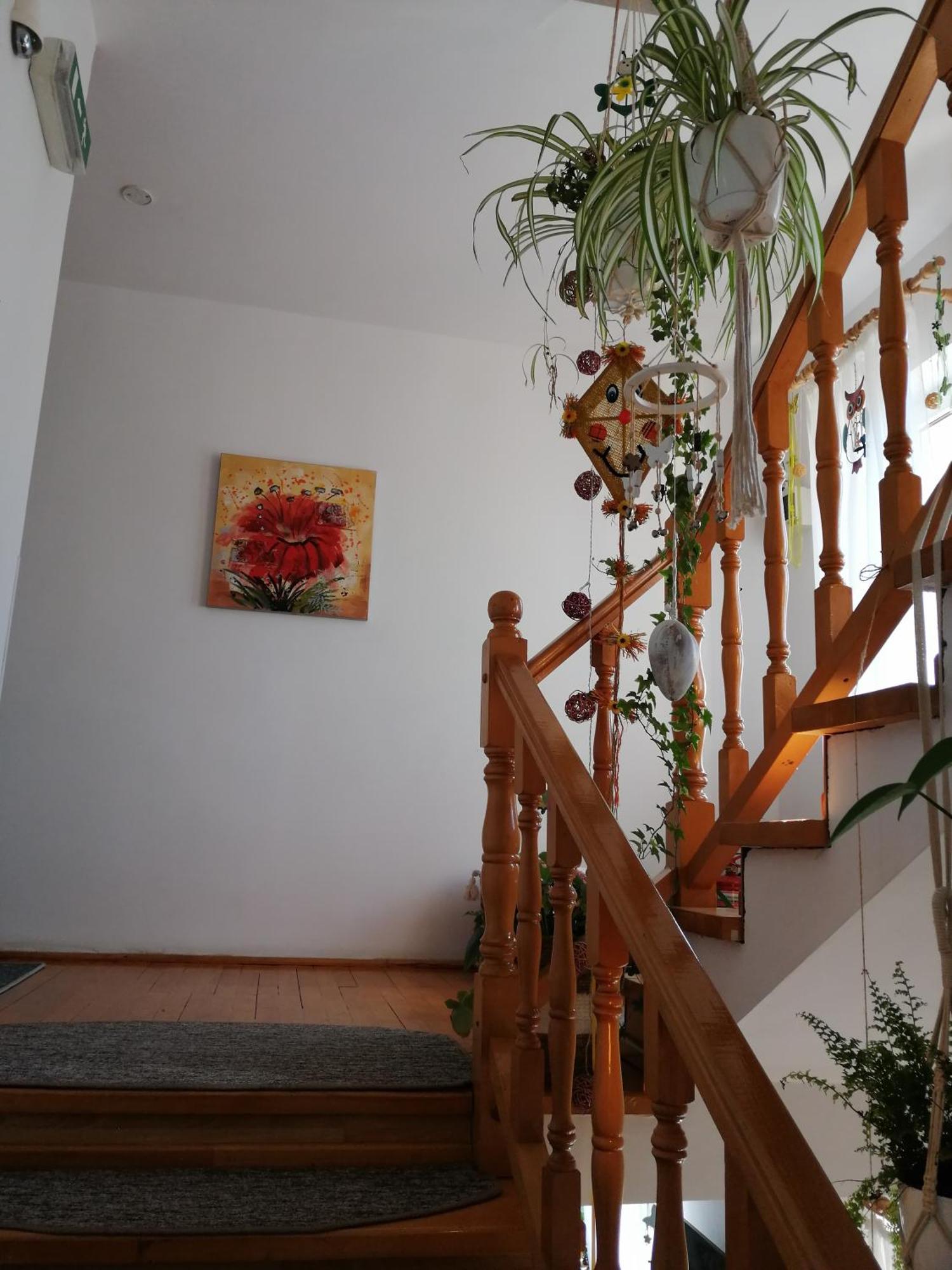Pensiunea Transilvania Lodge Bran  Bagian luar foto