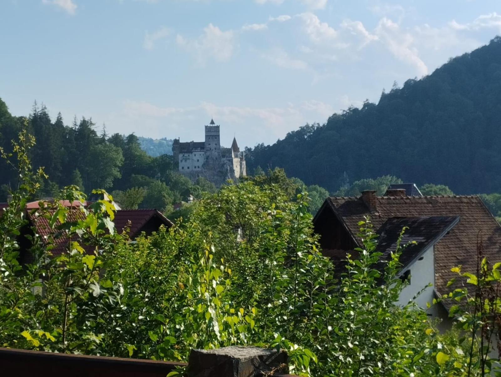 Pensiunea Transilvania Lodge Bran  Bagian luar foto