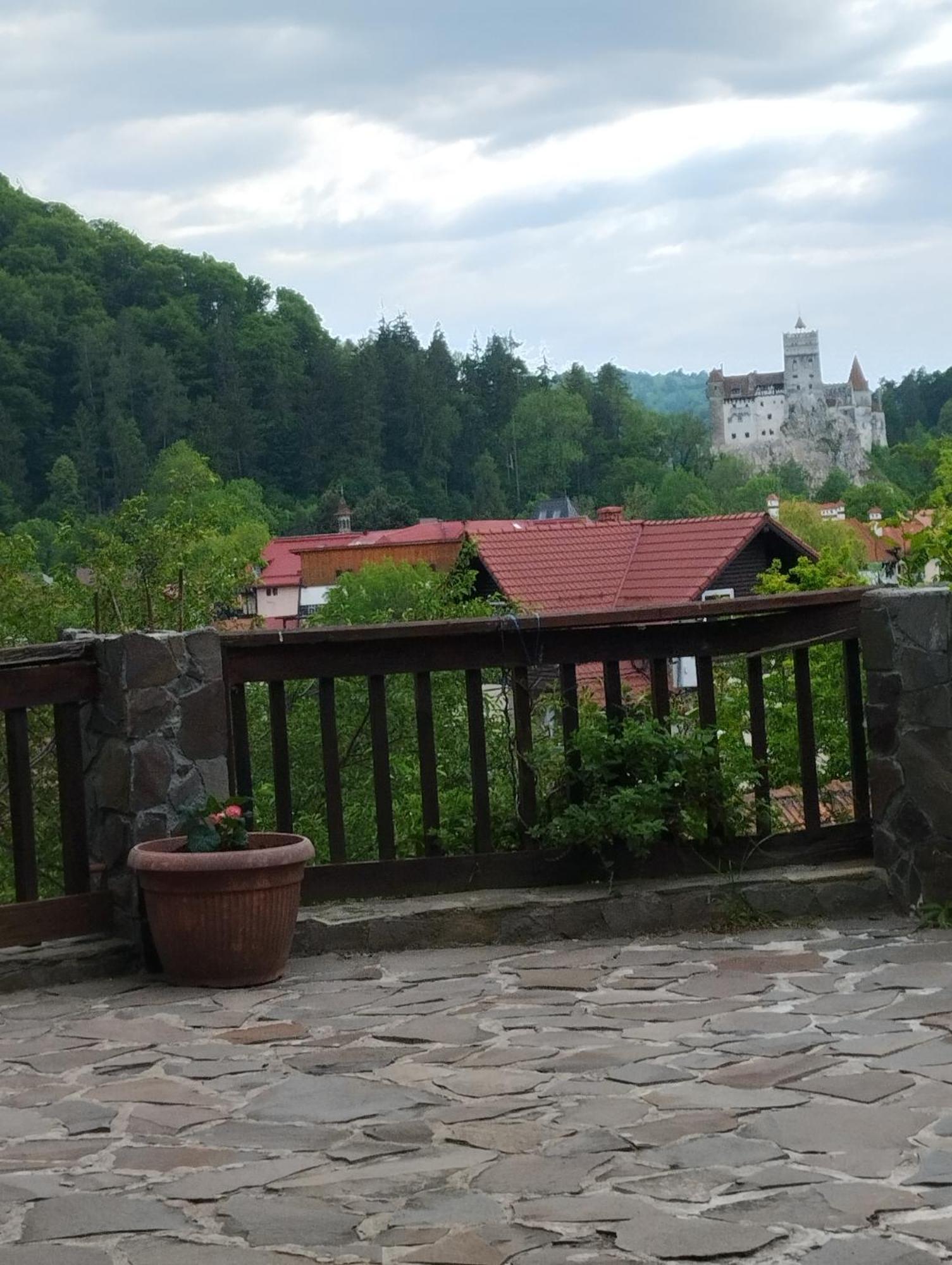 Pensiunea Transilvania Lodge Bran  Bagian luar foto